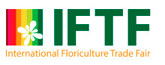 11112013183850_iftf