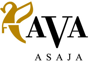 11122013162950_ava