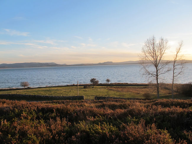 12022014182653_bosque