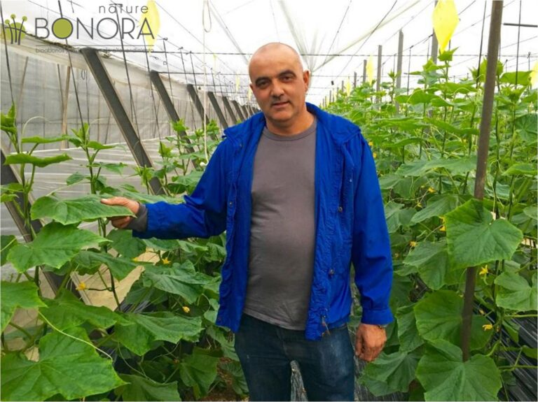 12042016173725_bonora