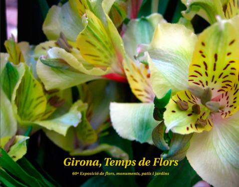 12052015095631_girona