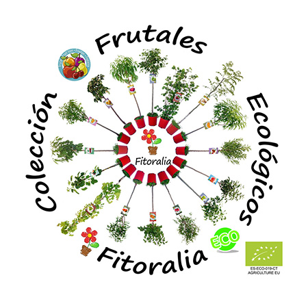 12062018101955_frutales_fitoralia