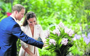 Britain's Prince William and Catherine, the Duchess of Cambridge, look at orchid hybrids named in their honour at the National Orchid Garden in the Singapore Botanic Gardens