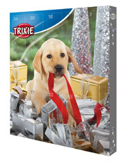 12122012125823_trixie2