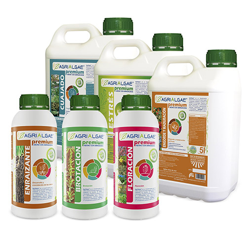 12122017102621_algaenergy