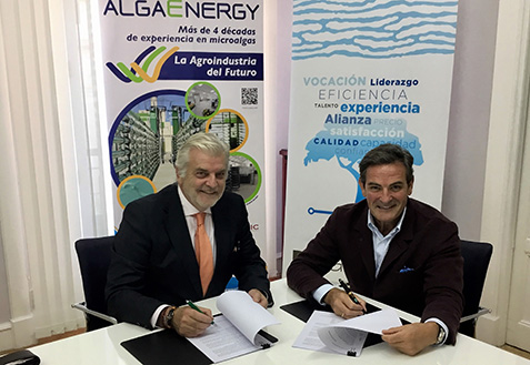 13022018105904_acuerdo_algaenergy