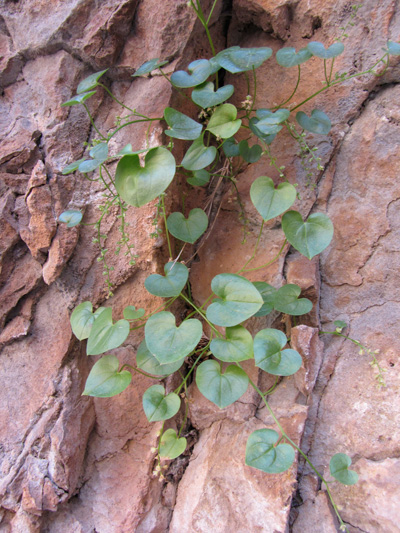 13092012130803_foto_web
