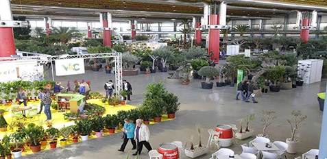 13122017105955_viveralia