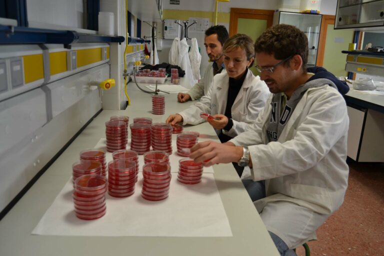 14022013125157_investigacionhongos_i