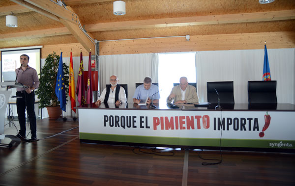 15072014143829_pimiento