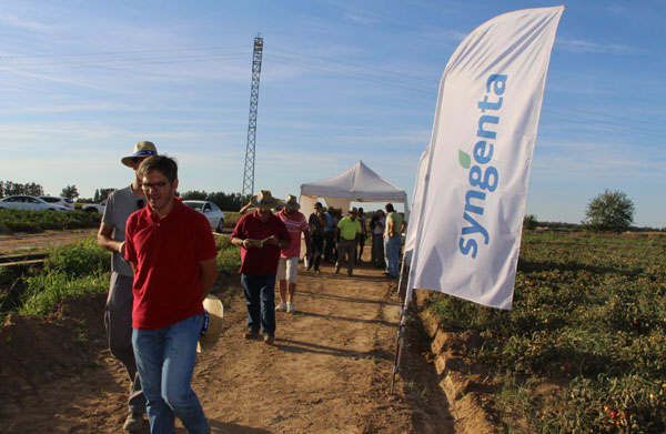 15092014132648_syngenta