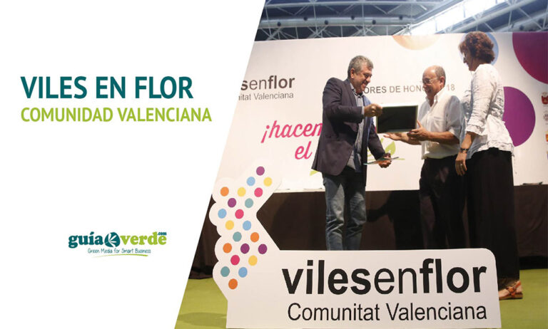 15112018091509_noticia_foto_viles