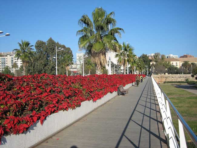 16012013154710_puente_de_las_flores