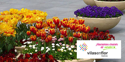 16042018123455_villas_en_flor_galicia