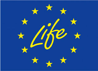 16052014142011_life