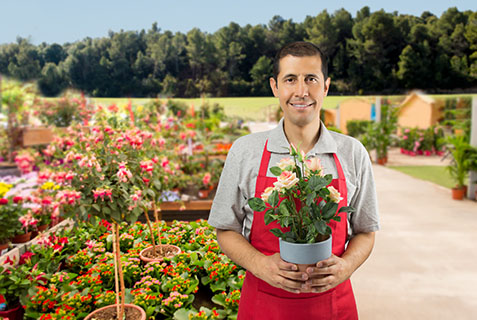 16072018115026_guarderia_de_plantas