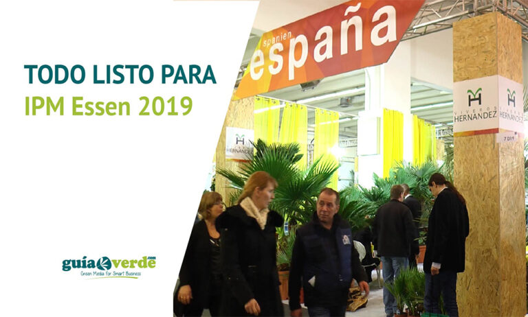 17012019103741_ipmessen-noticia
