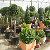18022013121325_planta_exterior_fepex_b