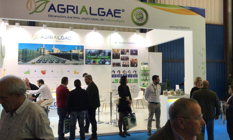 18022019073141_algaenergy