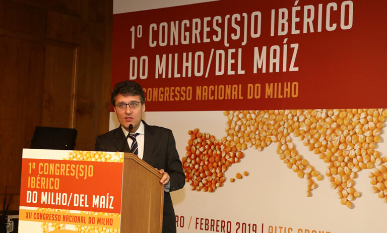 19022019165443_congreso