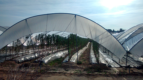 19042018162551_cicloagro