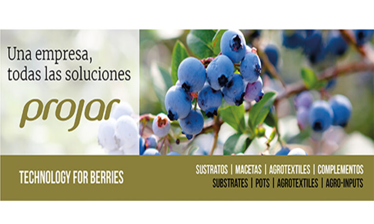 19102018093636_projar_berries