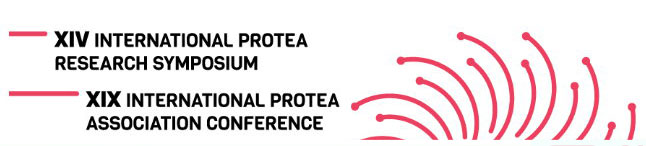 19112018145448_protea