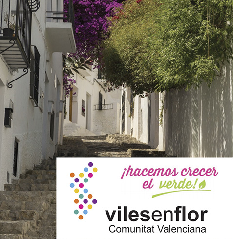 20072018111044_viles_en_flor