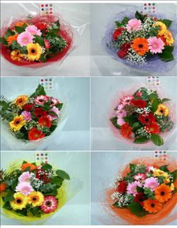 20120424095757_bos1g