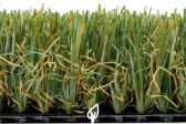 20120512054104_b_168_112_16777215_00___images_cesped_artificial_img_cesped_bermudacarpet1a