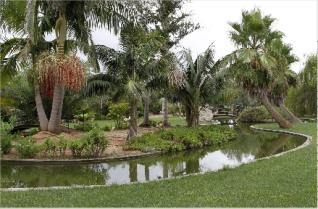 20120514074243_levante_emv_-_botanic_cullera