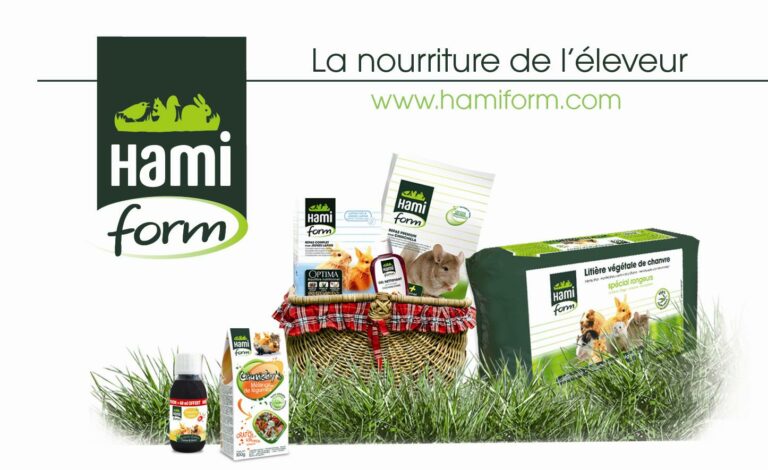 20120913013009_hamiform