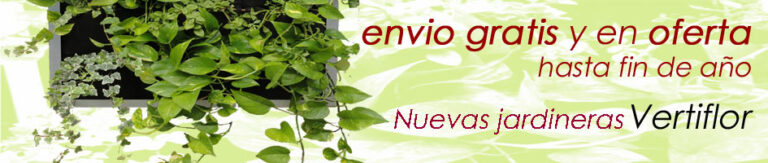 20121130115324_envio-gratis-fin-de-ano