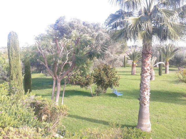 20121209073441_2012-12-07_12.25