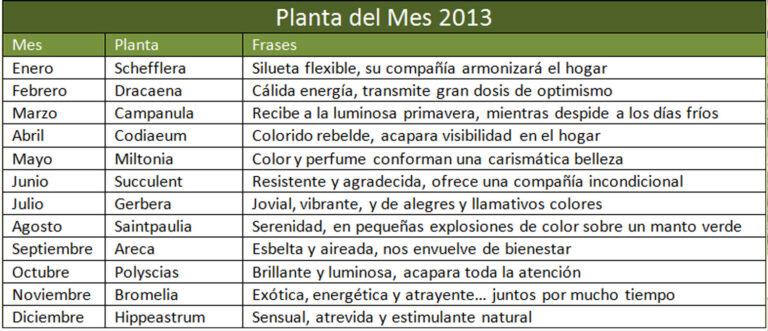 20121223102811_calendario_2013
