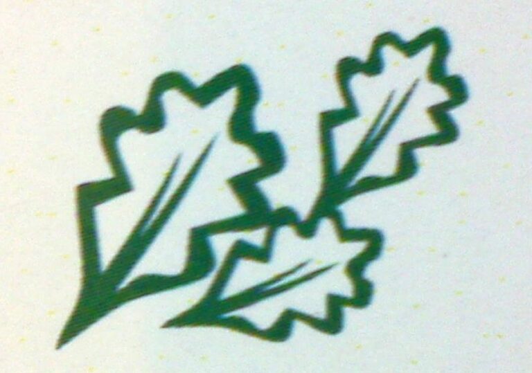 20130419090059_logo_ihm_big