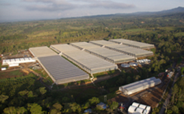 20130529102604_ULMA_Latinoamerica_2013_