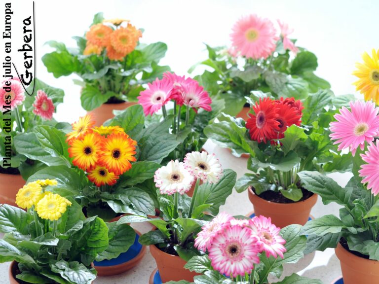20130630034232_twitter