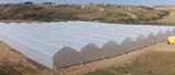 20130802104928_Invernaderos_ULMA_Agricola_Sudafrica
