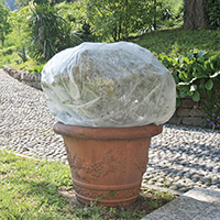 20140121050633_Saccoclima