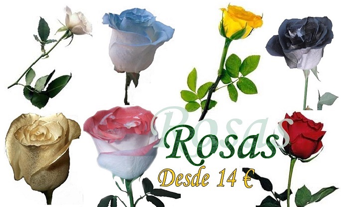 Rosas