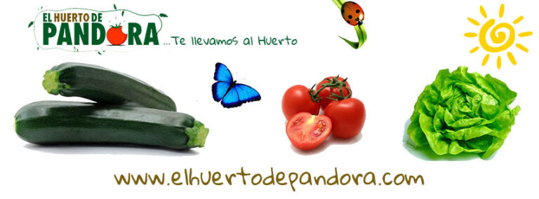20140311062241_portada