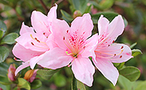 20140417025439_box1