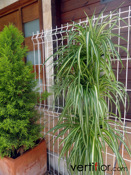 20140429051114_jardinera_c3_con_plantas