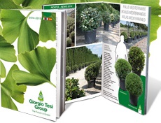 20140718114448_home_catalogo_2014-15