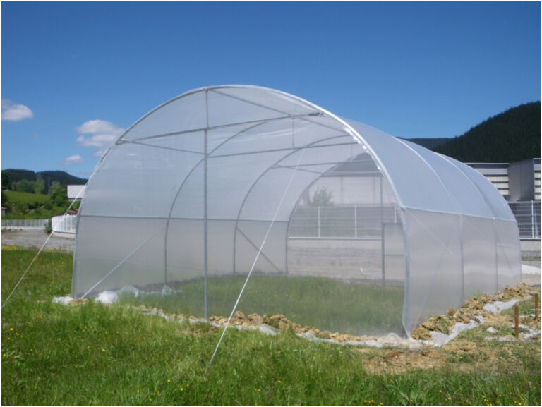 20140722021618_Higtunnel_ULMA_Agricola