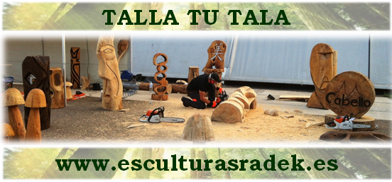 20140930104937_TALLA_TU_TALA
