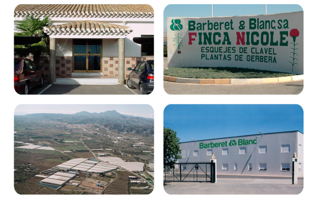 20141215011547_empresa_18-inicio