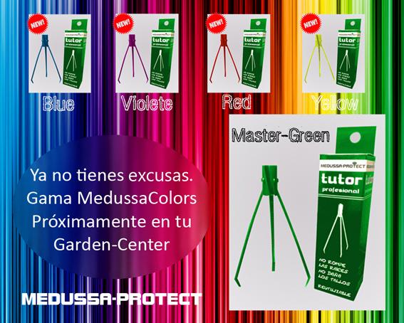 20150227022848_Medussacolors2