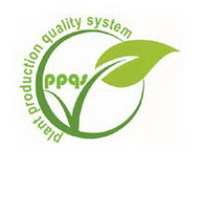 20150909050449_PPQS_-_anagrama_-